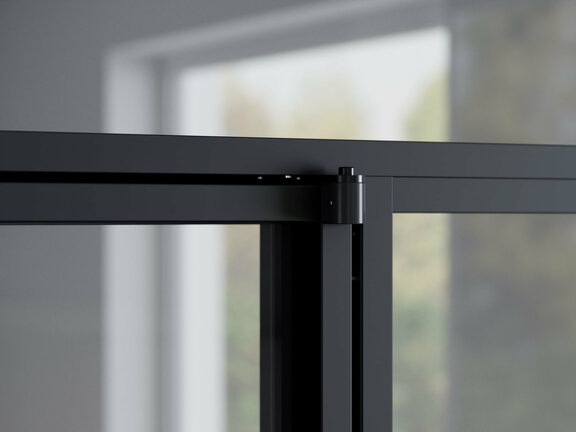 Detail Swing Door Slim Line mit Oberlicht
