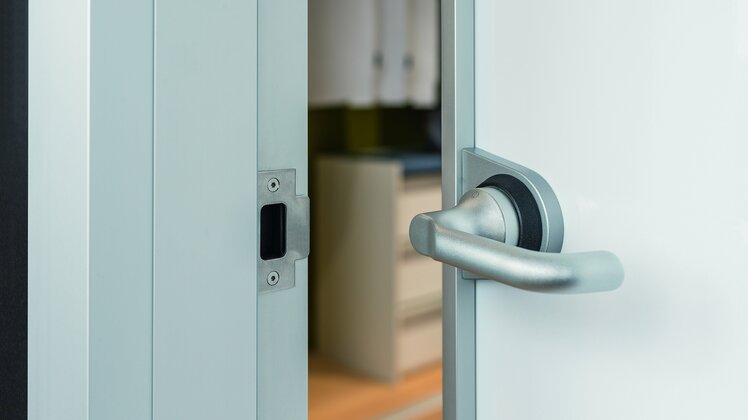 Griffvarianten für Zimmertür Swing Door